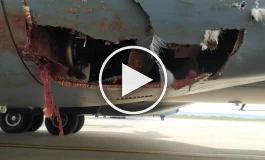 تصاویری از برخورد هواپیمای مسافربری عربستان با دسته‌ای از پرندگان